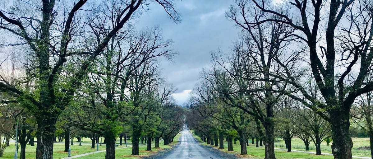 New Beginnings Ahead