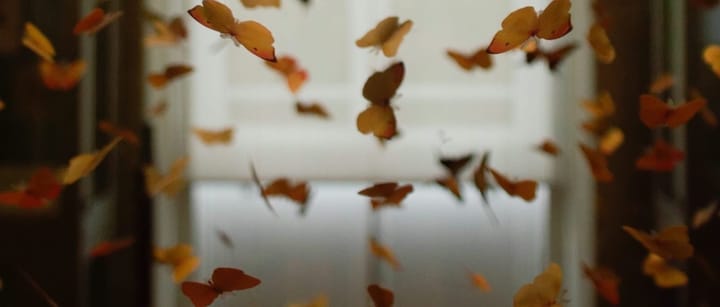 Gratitude and Legacy in Motion